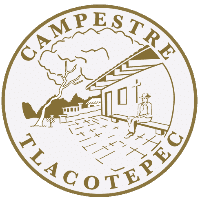 Alfamusic logo, representing a rural music and cultural organization in Tlacotepec.