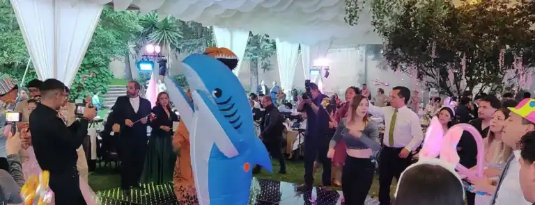 Decoración y música en vivo en XV años de Ana Paula.