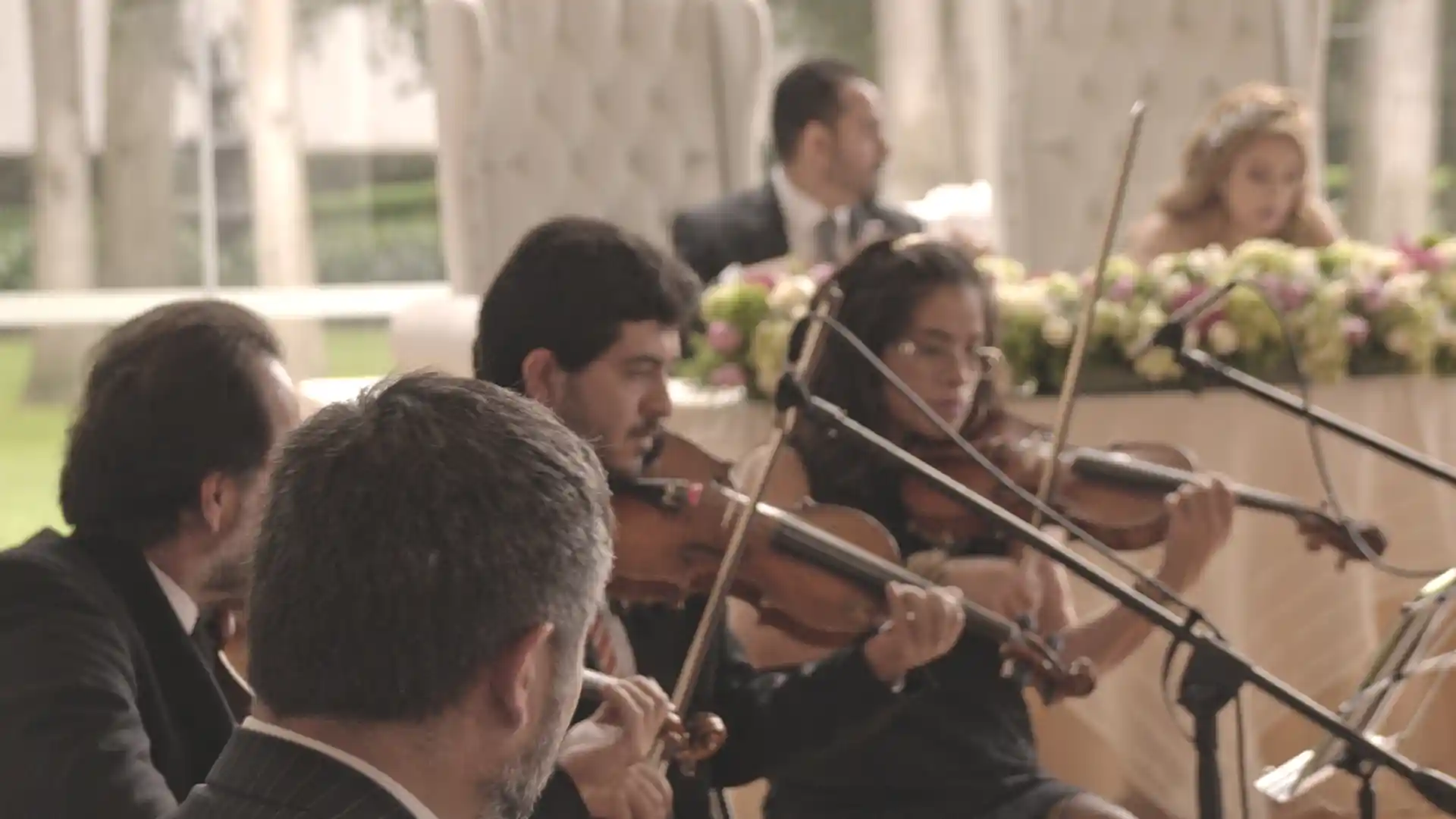 Armonía musical en un concierto de orquesta con músicos tocando violines en un escenario elegante.
